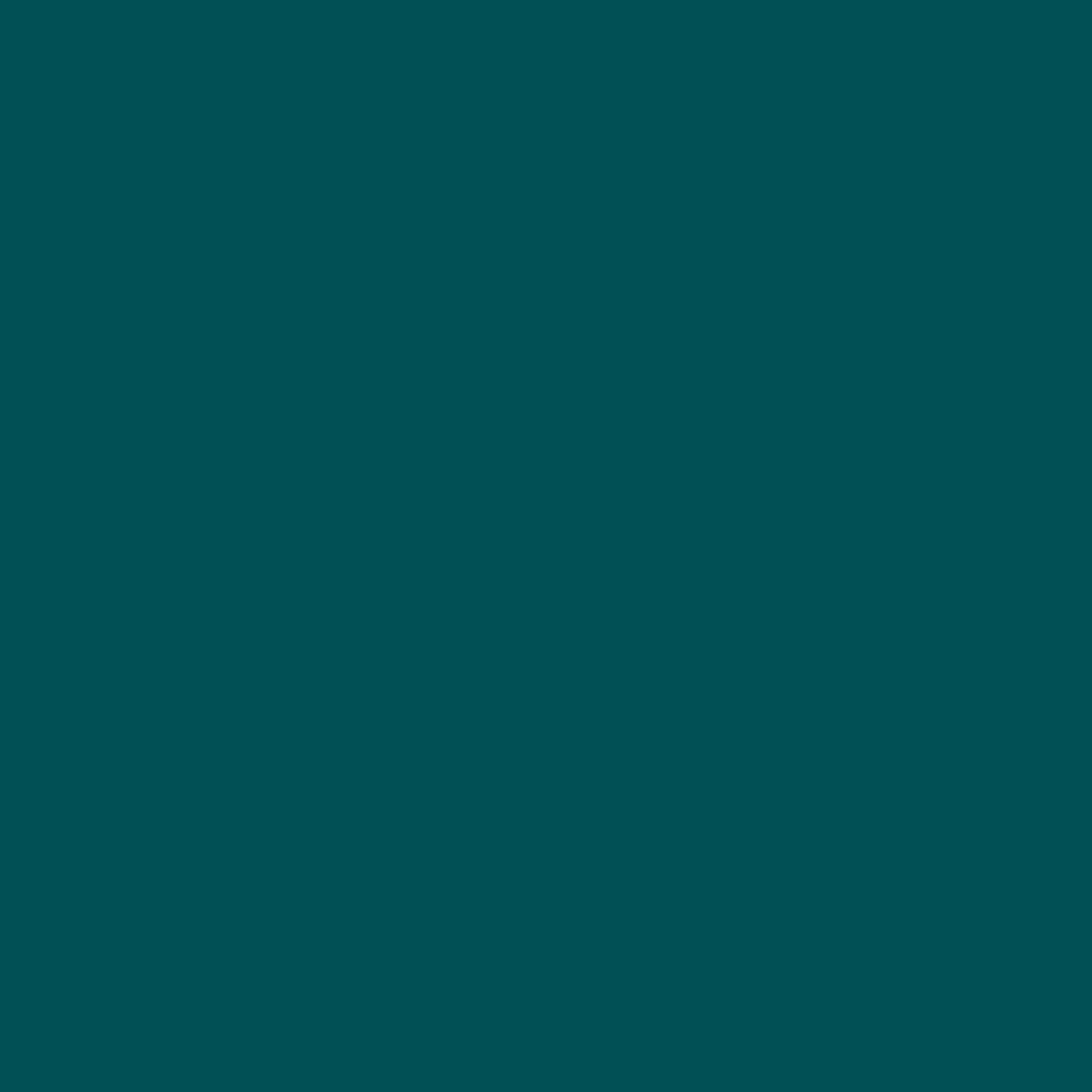 LOOP 600ML LP 444 MAXI VENEZIA