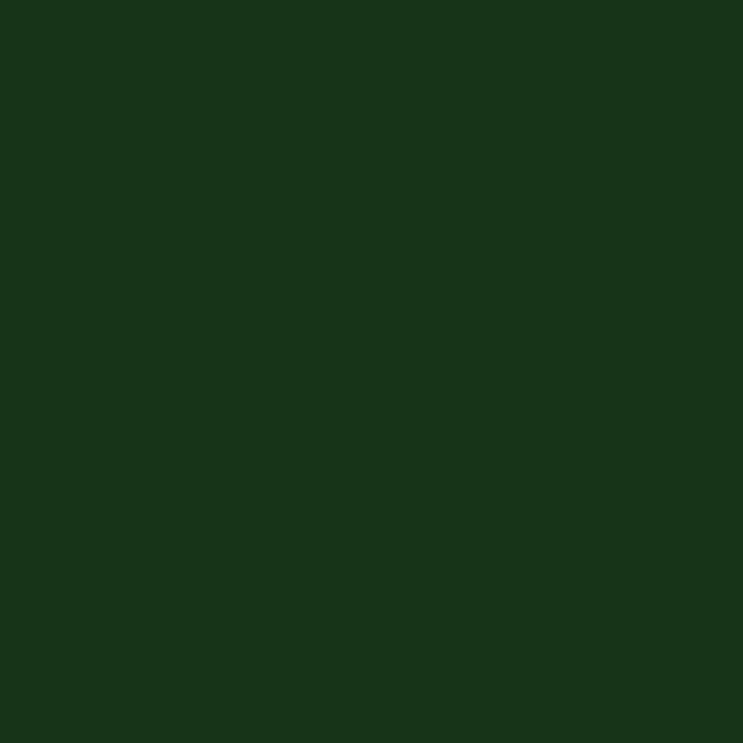 LOOP 600ML LP 427 MAXI PERUGIA